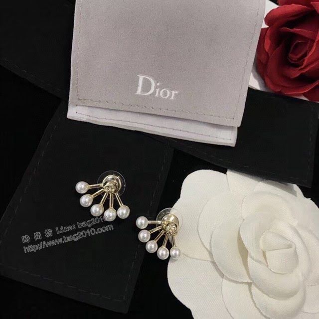 Dior飾品 迪奧經典熱銷款復古CD耳釘耳環  zgd1196